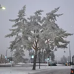 Thon Elgstua Elverum