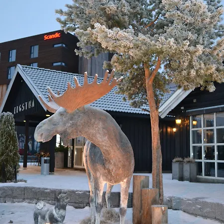 Thon Partner Elgstua