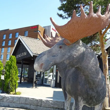 Thon Partner Elgstua Elverum